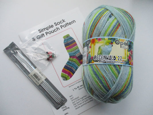 Sock It To 'Em - Starter Knitting Kit